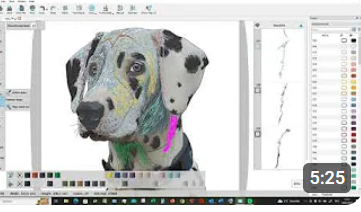 Screenshot vom YouTube Kanal